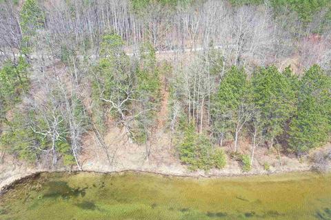 P2 Wild Cherry Lane Lot: 2, Hale, MI 48739