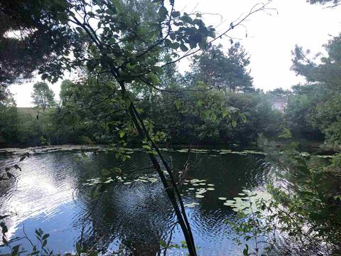 2011 Channel Dr W, Lake Isabella, MI 48893