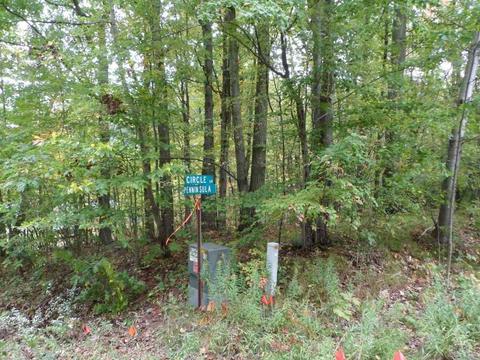 1044 Circle, Lake Isabella, MI 48893