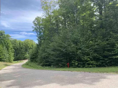 unit 157 falcons LOT : 157, Bellaire, MI 49615
