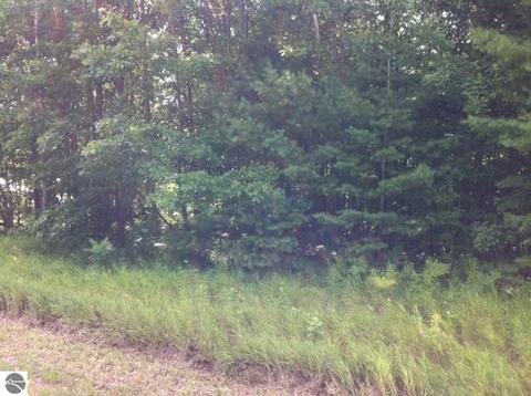 N/a S Huron, Au Gres, MI 48703 photo 2