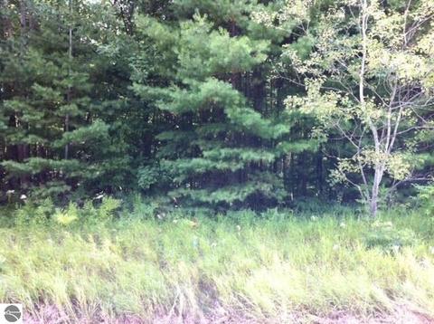 N/a S Huron, Au Gres, MI 48703