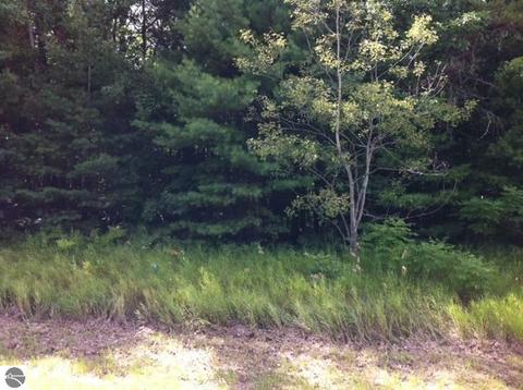 N/a S Huron, Au Gres, MI 48703 photo 3