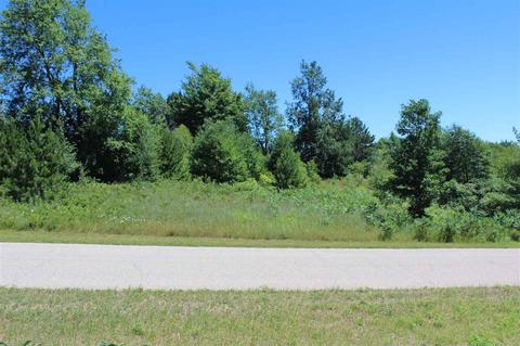 Lot 136 Lamplighter Lane, Cadillac, MI 49601