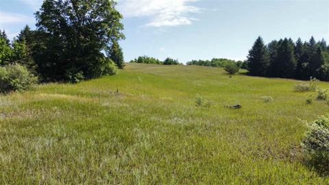 APT 27 Whitetail, Bellaire, MI 49615