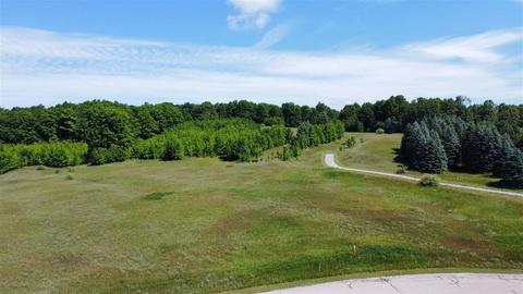 APT 28 Whitetail, Bellaire, MI 49615