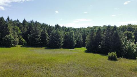 APT 29 Whitetail Drive, Bellaire, MI 49615