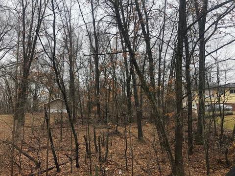 Tbd W Shore Lot: 112, Weidman, MI 48893
