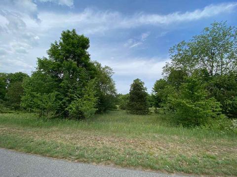 Unit 37 Talon, Bellaire, MI 49615