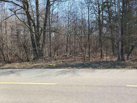 Tbd S Magruder Road, Shepherd, MI 48883