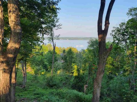 Lot 3 Torch Hills Lot: 3, Rapid City, MI 49676