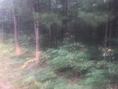 Wintergreen, East Tawas, MI 48730