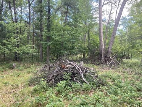 0 Whitetail Lot 115 Whitetail Dr #LOT 115 WHITETAIL DRIVE : 115, Alger, MI 48610