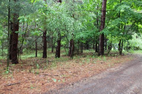 On Maple View Drive, Central Lake, MI 49622