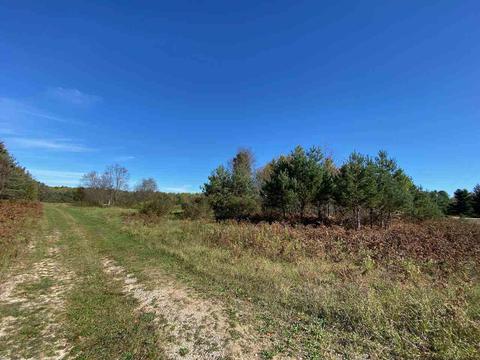 4687 Aero Park, Bellaire, MI 49615