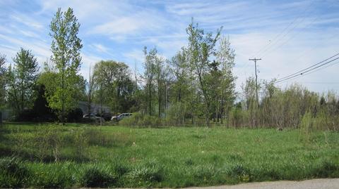 tbd leona LOT 47, Mount Pleasant, MI 48858