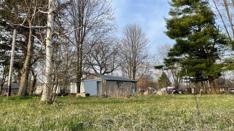 10414 Baker, Clio, MI 48420 photo 5
