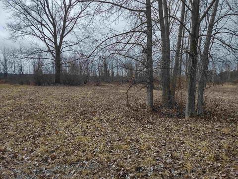 N/a Midshipman Drive Lot: 2, Au Gres, MI 48703
