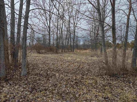 N/a Midshipman Drive Lot: 2, Au Gres, MI 48703 photo 2