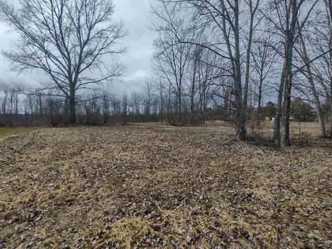 N/a Midshipman Drive Lot: 2, Au Gres, MI 48703 photo 6