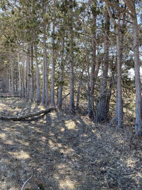Parcel F County Road 571, Kalkaska, MI 49646