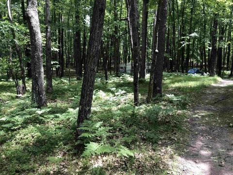 00 Oak #LOT : 715716, Farwell, MI 48622