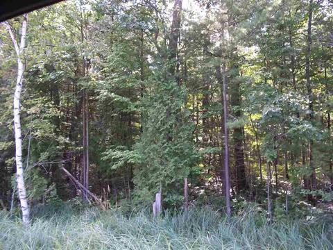 00 N Baldwin Resort Rd #LOT : 1, East Tawas, MI 48730