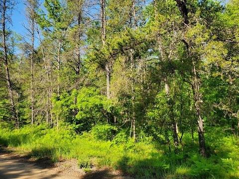 0 Quigley #40 ACRES QUIGLEY ROAD, Alger, MI 48610
