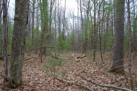 9000 E 4 Rd, Fife Lake, MI 49633