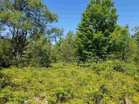 00 Woodridge Acres, Mancelona, MI 49659