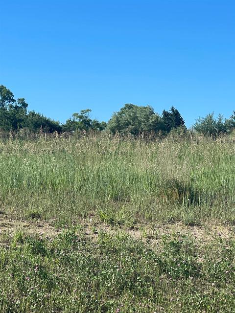 6140 E Arnold Rd, Williamsburg, MI 49690 photo 4