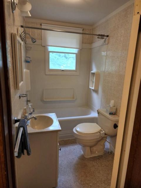 615 E Maple, Mount Pleasant, MI 48858 photo 8