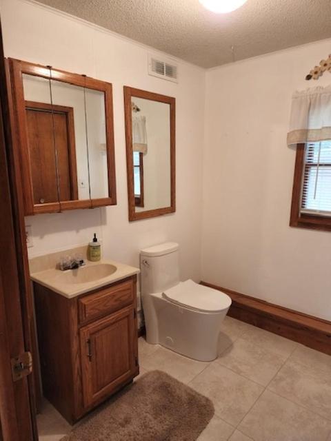 615 E Maple, Mount Pleasant, MI 48858 photo 9