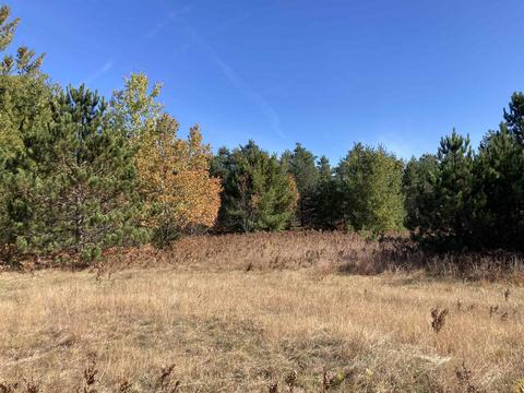 Nimrod, Traverse City, MI 49685