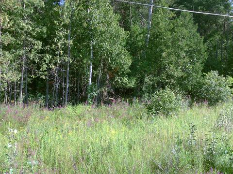 0 M-55 #LOT : 1-4, Tawas City, MI 48763