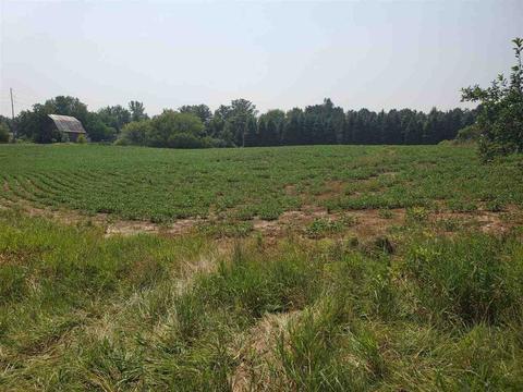 Tbd S Crawford, Mount Pleasant, MI 48858