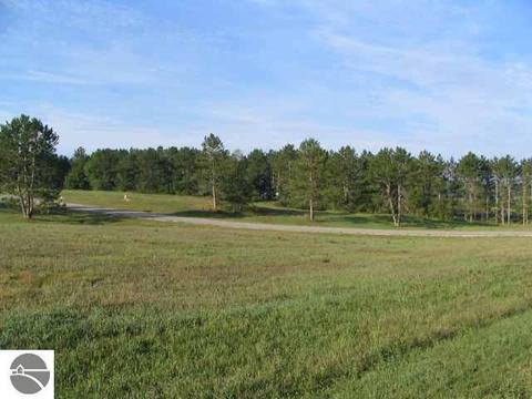 Lot 7 S Meadow #7, Cadillac, MI 49601