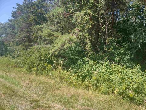 N/a E Huron, Au Gres, MI 48703