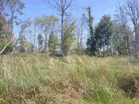 N/a Swenson, Au Gres, MI 48703 photo 2