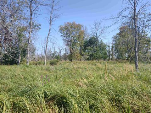 N/a Swenson, Au Gres, MI 48703 photo 3