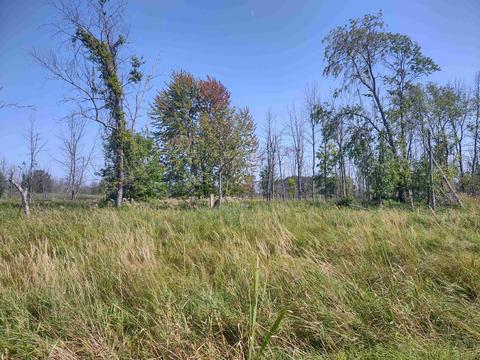 N/a Swenson, Au Gres, MI 48703