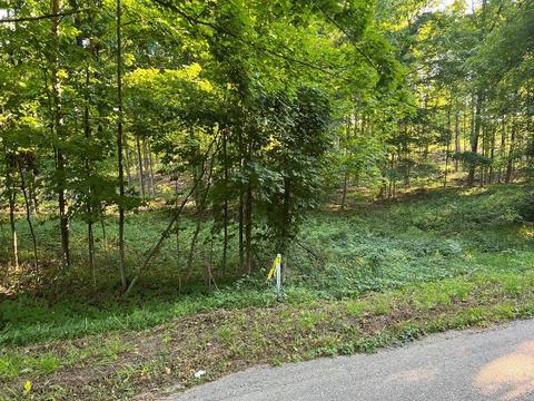 00 Vl Potter Rd, Bear Lake, MI 49614