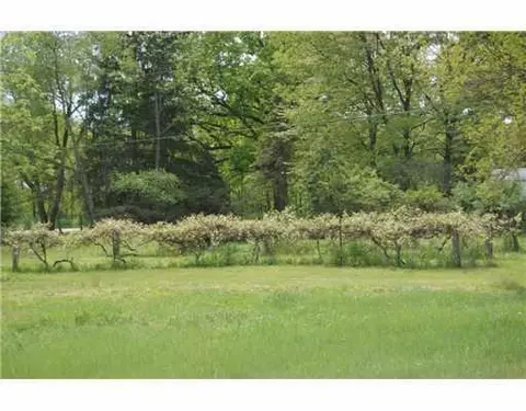 8080 Mast, Dexter, MI 48130 photo 5