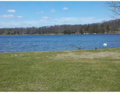 14276 Edgewater, Gregory, MI 48137 photo 2