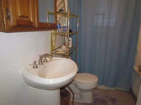 313 E Trl, Jackson, MI 49201 photo 9