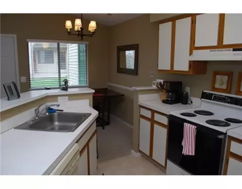 378 Spring Brooke, Brighton, MI 48116 photo 6