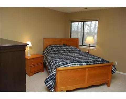 378 Spring Brooke, Brighton, MI 48116 photo 8