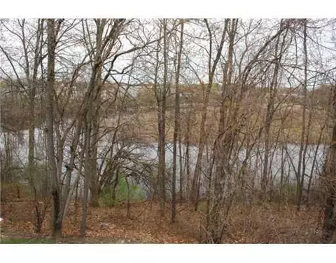 378 Spring Brooke, Brighton, MI 48116 photo 9