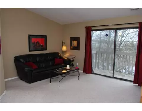 378 Spring Brooke, Brighton, MI 48116 photo 3