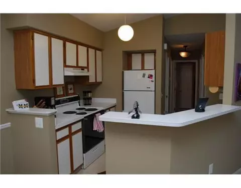 378 Spring Brooke, Brighton, MI 48116 photo 5